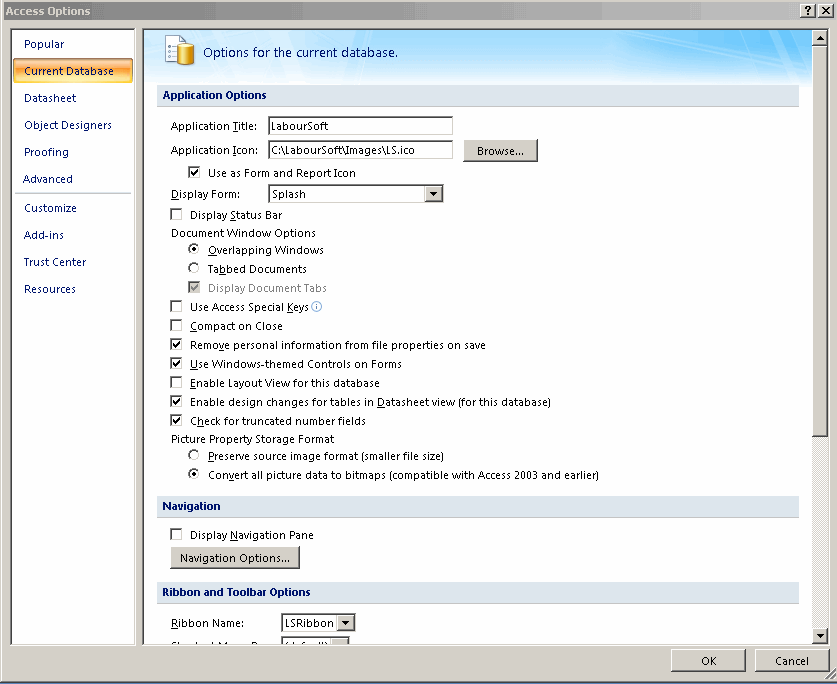 These are the MS Access options to be used. These are the MS Access options to be used.