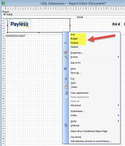 Alpha Five Developers Adding Logo in Alpha AnyWhere Report.